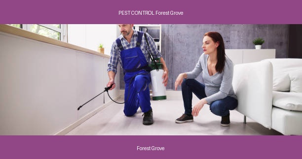PEST CONTROL Forest Grove